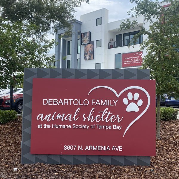 Volunteering at the Humane Society of Tampa Bay | RHINO Lawyers